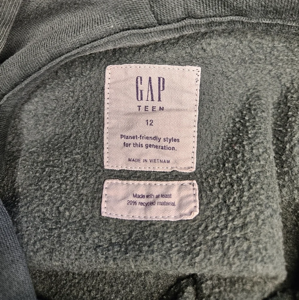 GAP Kids Green/Gray Hoodie